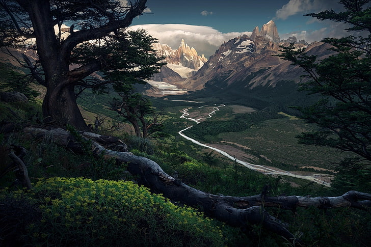 grünblättrige Bäume malen, Natur, Landschaft, dunkel, Berge, HD-Hintergrundbild