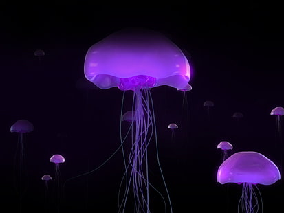 фиолетовая желе, много медузы, медузы, HD обои HD wallpaper