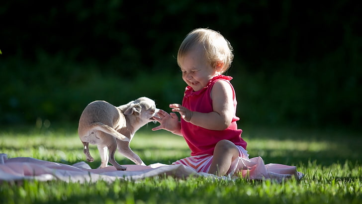 girl's red top, child, dog, laughter, fear, walk, HD wallpaper