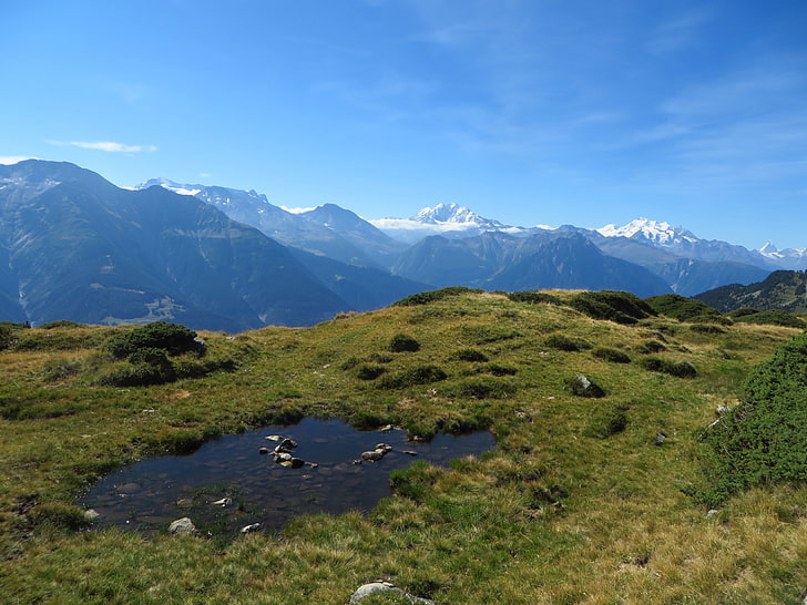 Schweiz, Aletsch-glaciären, Rideralp, berg, HD tapet