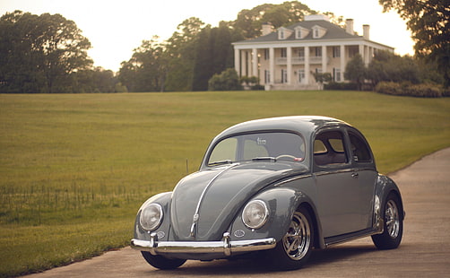 Beetle, gümüş Volkswagen Beetle coupe, Motorlar, Klasik Otomobiller, Beetle, HD masaüstü duvar kağıdı HD wallpaper
