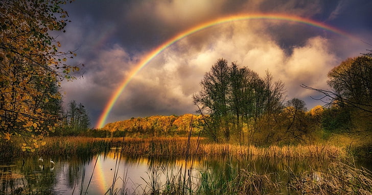 地球、虹、自然、沼、 HDデスクトップの壁紙