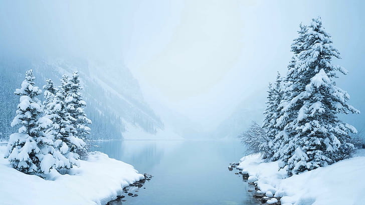 fotografia, natura, inverno, neve, lago, nebbia, Sfondo HD