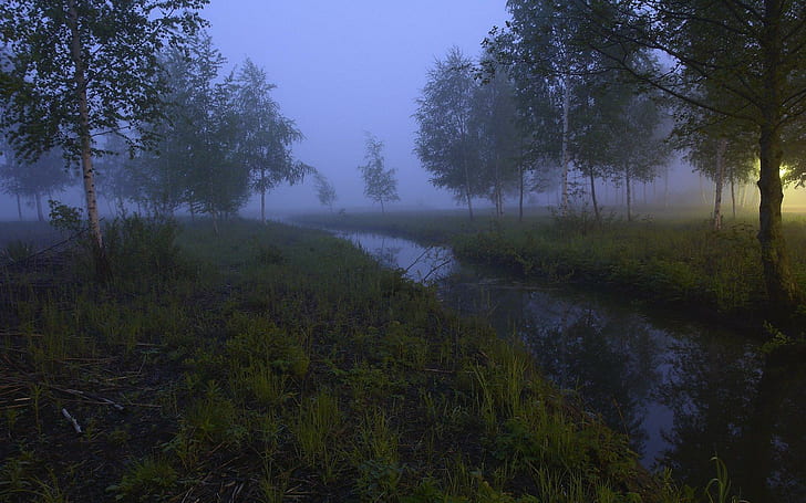 Мистическая река, деревья, ручей, туман, природа, река, синий, темный, 3d и абстрактный, HD обои
