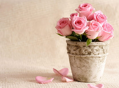 pink Rose bouquet, roses, flowers, pot, petals, HD wallpaper HD wallpaper
