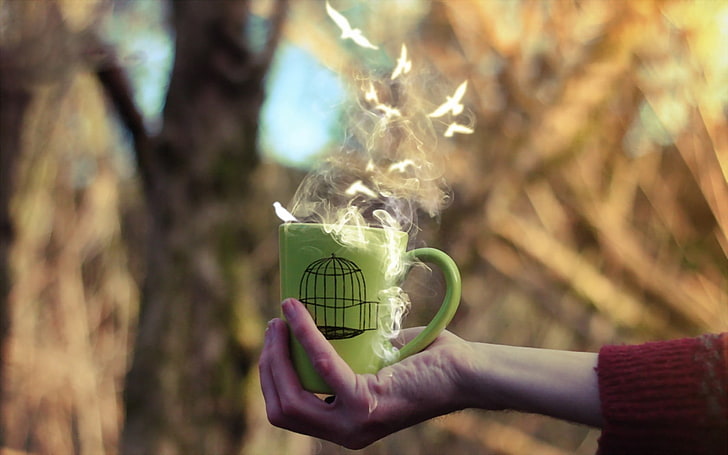 green and black birdcage print ceramic mug, hand, cup, bird, HD wallpaper