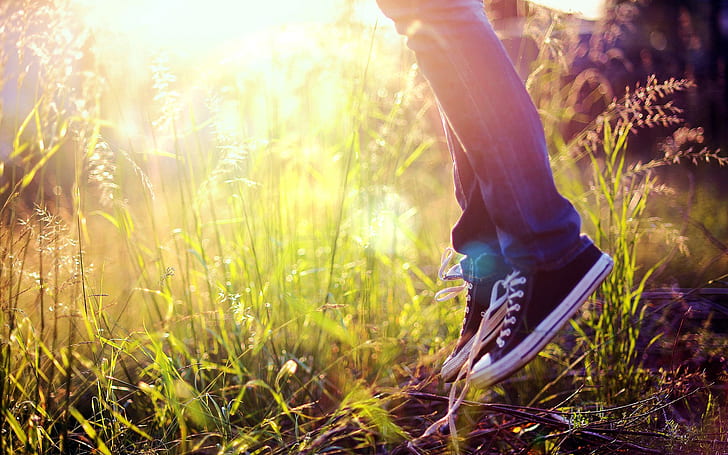 sepatu, melompat, sinar matahari, Wallpaper HD