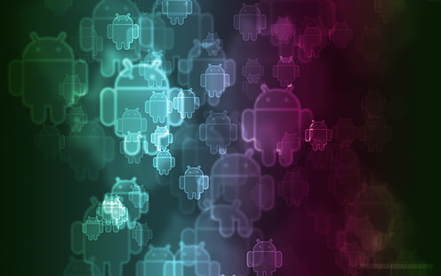 android، jellybean، kitkat، lollipop، خلفية HD HD wallpaper
