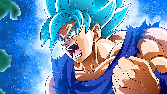 Goku aus Dragonball Z, Dragonball Super, Son Goku, Super Saiyajin Blau, Super Saiyajin Blau, Dragonball, HD-Hintergrundbild HD wallpaper
