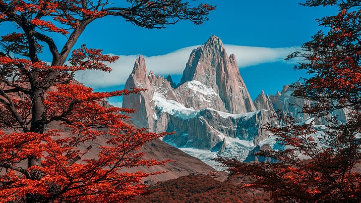 naturaleza, paisaje, nubes, cielo, árboles, bosque, otoño, montaña nevada, Monte Fitz Roy, Patagonia, Argentina, Fondo de pantalla HD