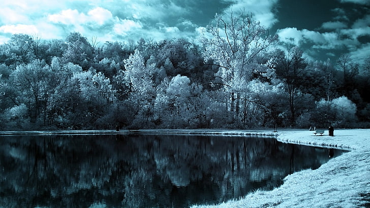 물줄기, 눈, 겨울, 호수, 숲, 나무, HD 배경 화면