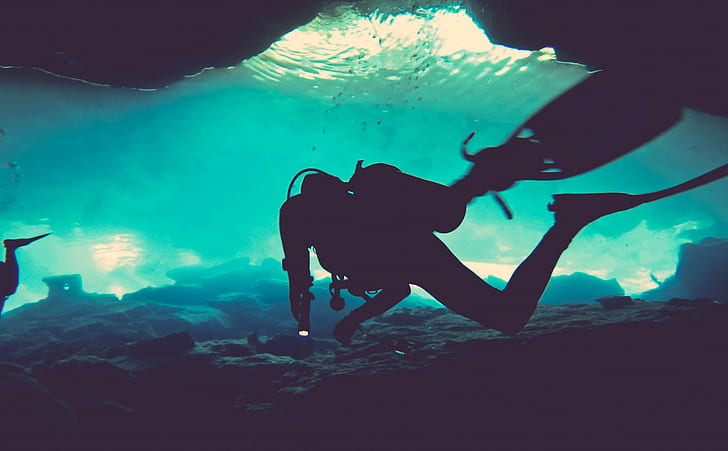 sous l'eau, mer, plongeurs, Fond d'écran HD