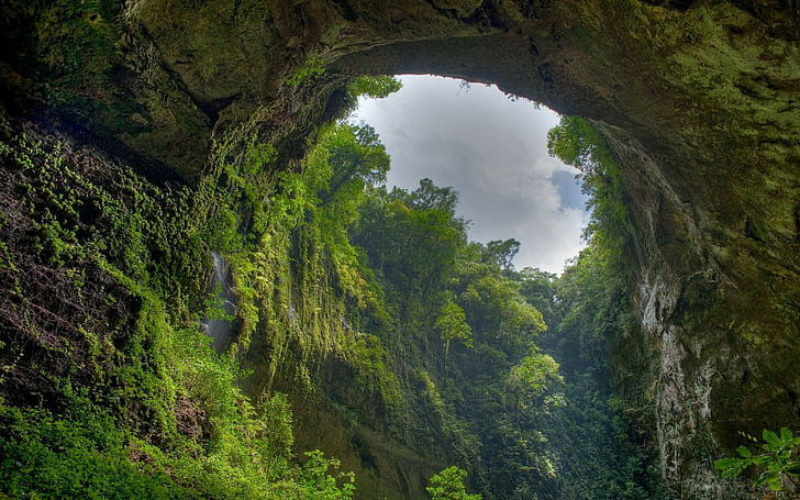 alam, lengkungan, gua, pohon, Puerto Riko, batu, Wallpaper HD