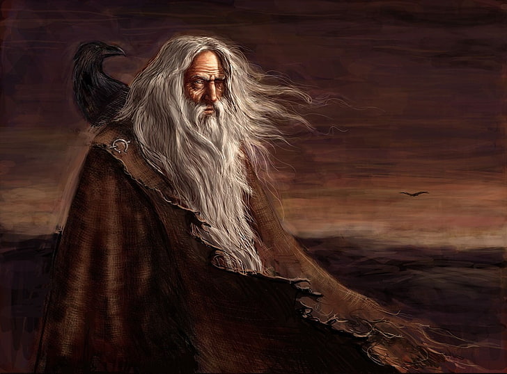 man wearing robe with raven, painting, Vikings, mythology, Odin, raven, Huginn, Muninn, HD wallpaper
