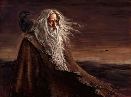 человек в халате с вороном, живопись, викинги, мифология, Один, ворон, Хугинн, Мунин, HD обои HD wallpaper