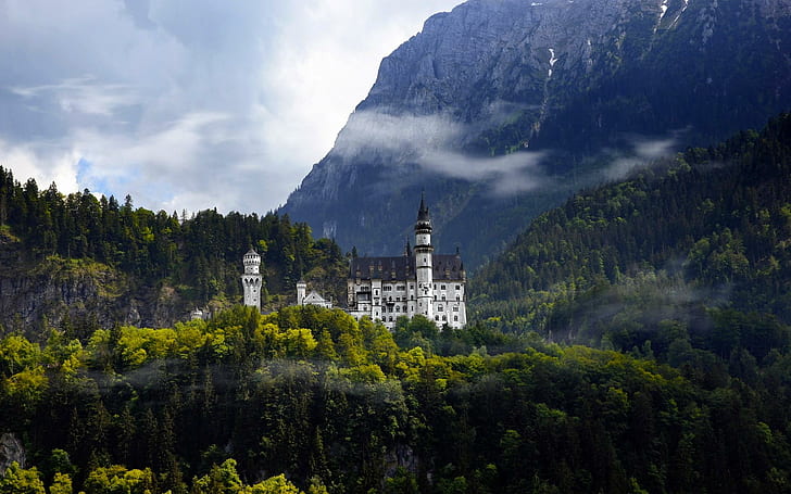 Замъкът Нойшванщайн, Германия, замъкът Нойшванщайн, планина, Германия, гора, замък, Нойшванщайн, животни, HD тапет