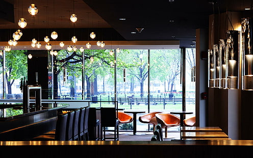 Café com vista, interior, legal, café, restaurante, design, animais, HD papel de parede HD wallpaper