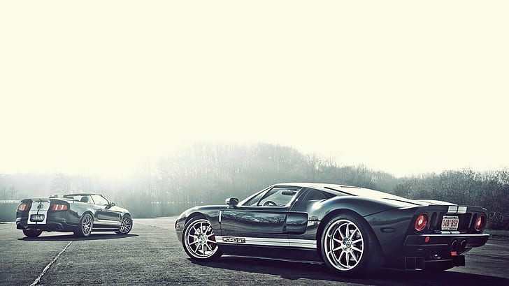 포드 머스탱 쉘비 코브라 GT500 GT Warm HD, 자동차, 포드, 웜, 머스탱, GT, 코브라, 쉘비, GT500, HD 배경 화면