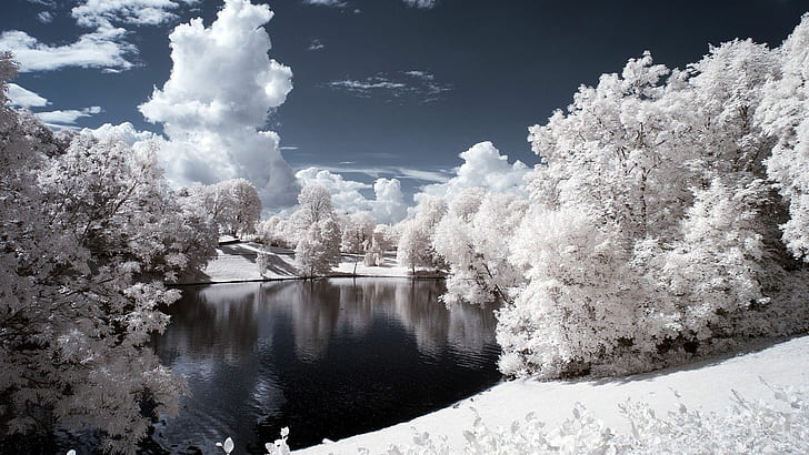 Snow-Covered Trees & Pond HD, infrared, photo manipulation, pond, trees, HD wallpaper