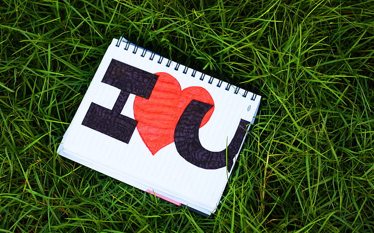 day, grass, heart, lettering, love, notebook, text, valentine 039 s, HD wallpaper