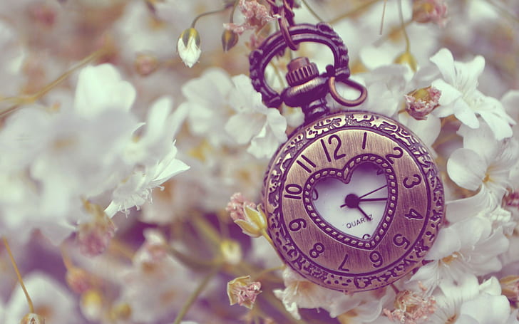 Uhren, Blumen, HD-Hintergrundbild