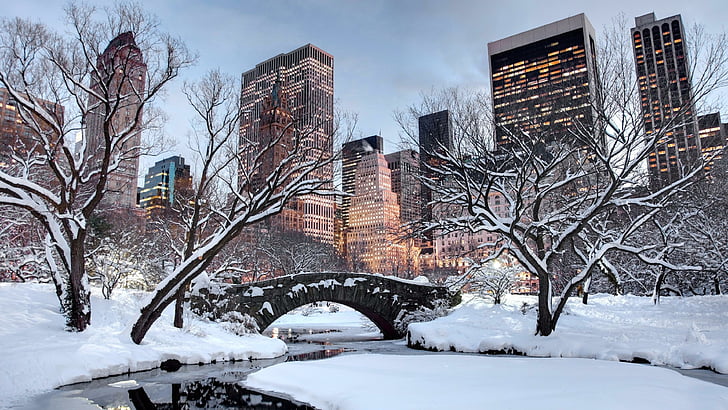 nieve, invierno, Estados Unidos, Nueva York, árbol, cielo, edificio, Nueva York, ciudad, Manhattan, Central Park, parque, Fondo de pantalla HD