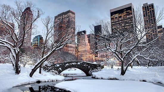 снег, зима, сша, нью-йорк, дерево, небо, здание, нью-йорк, город, манхэттен, центральный парк, парк, HD обои HD wallpaper