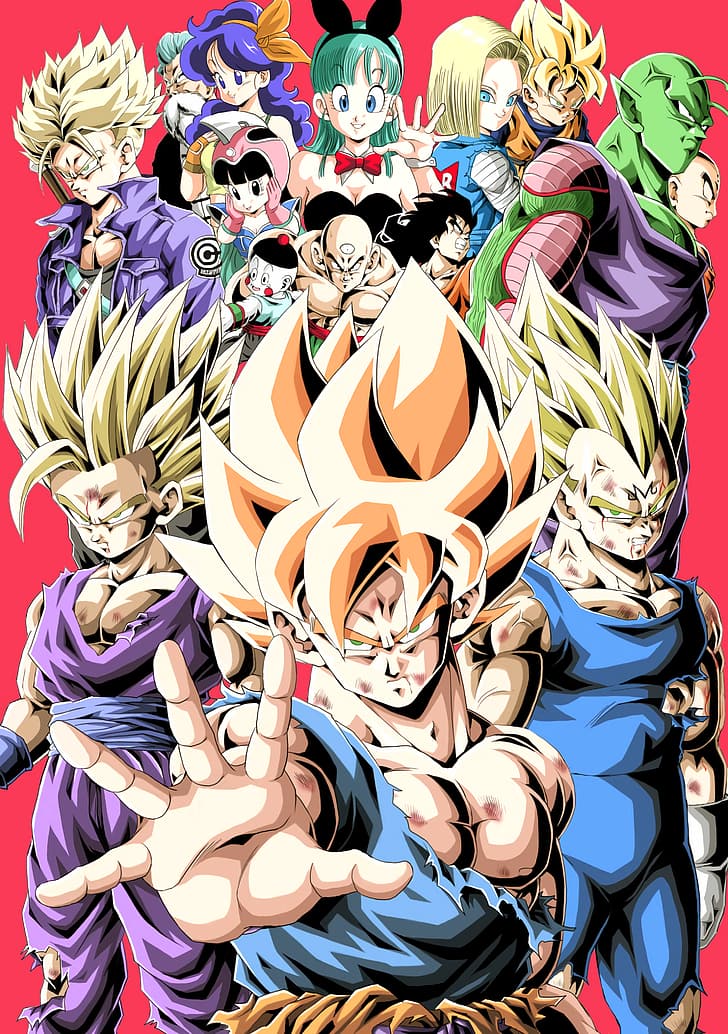 Dragon Ball Z, Son Goku, Gohan, Vegeta, Piccolo, Bulma, Tien Shinhan, Yamcha, Trunks (postać), Android 18, Launch, Chi-Chi, Krillin, Son Goten, Tapety HD, tapety na telefon