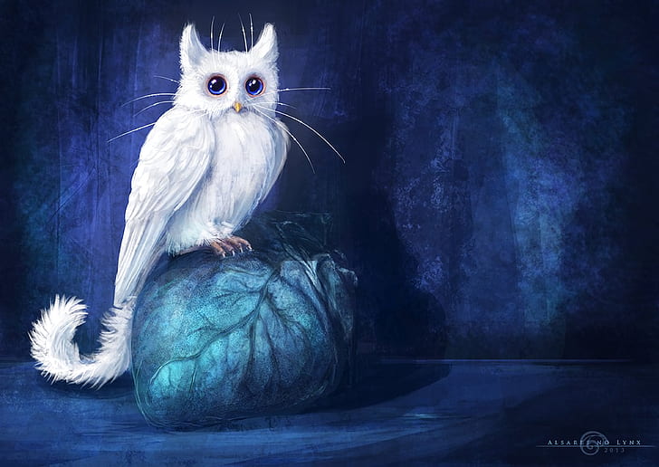 cat, owl, art, fantasy, HD wallpaper