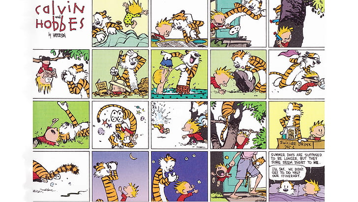 Cómics, Calvin y Hobbes, Calvin (Calvin y Hobbes), Hobbes (Calvin y Hobbes), Fondo de pantalla HD