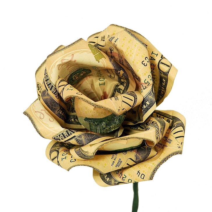gotówka, waluta, dolar, finanse, kwiat, prezent, pieniądze, róża, Tapety HD