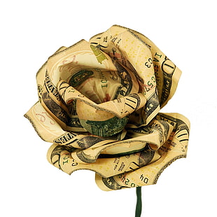 เงินสดสกุลเงินดอลลาร์การเงินดอกไม้ของขวัญเงินดอกกุหลาบ, วอลล์เปเปอร์ HD HD wallpaper