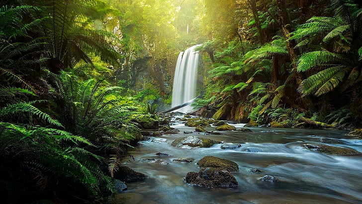 waterfall, great otway national park, national park, australia, HD wallpaper