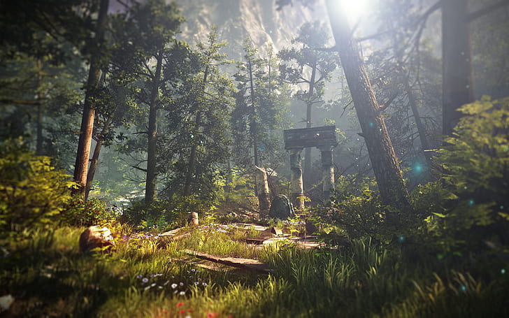 The Witcher 3, Game, Environment, green grass field, the witcher 3, game, environment, Tapety HD
