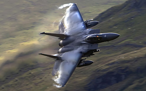 jet fighter, pesawat terbang, F-15 Eagle, pesawat militer, kendaraan, Wallpaper HD HD wallpaper