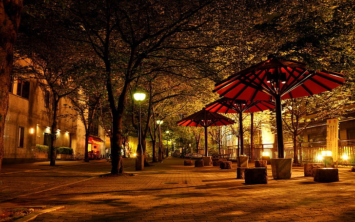 ถ่ายภาพต้นไม้ในเมืองถนนเมืองไฟกลางคืน, วอลล์เปเปอร์ HD