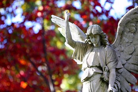 estatuilla de ángel femenino, alas, ángel, estatua, escultura, Fondo de pantalla HD HD wallpaper