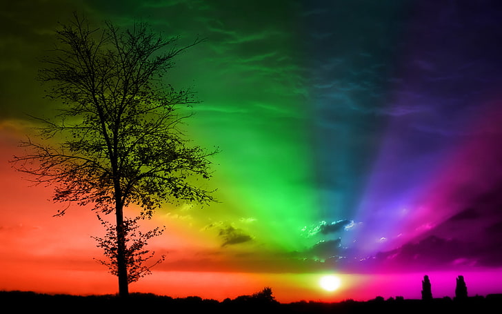 Sunset Rainbow, silhouette of tree, Abstract, , colorful, beautyful, sunset, rainbow, HD wallpaper