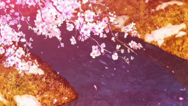 bunga petaled pink, sakura, Wallpaper HD