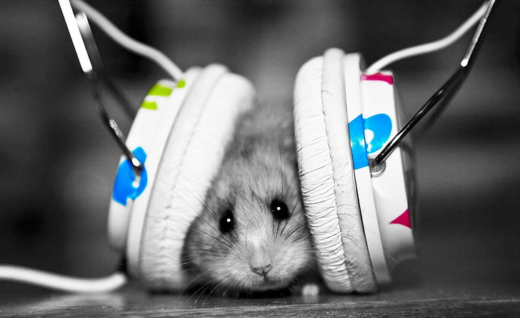 Dj Mouse, white and blue headphones, Music, mouse, HD wallpaper