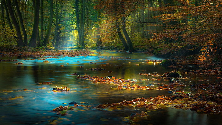 Paysage d'automne arbres forestiers ruisseau de montagne rivière feuille d'automne et feuilles jaunes chaîne de montagnes Spessart en Bavière Allemagne fond d'écran Hd 3840 × 2160, Fond d'écran HD