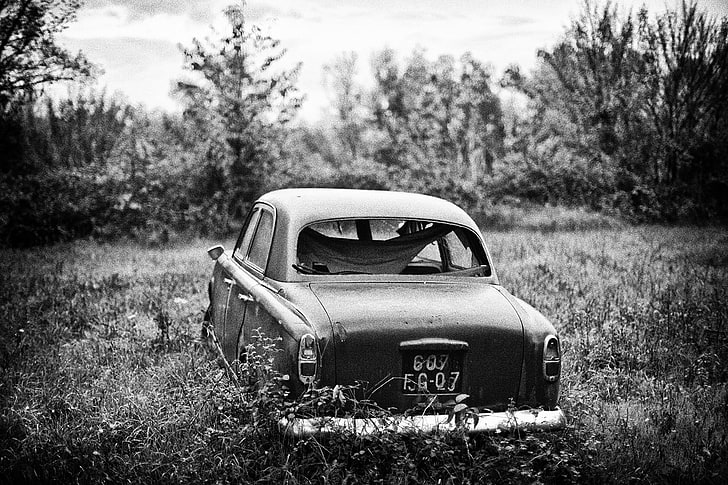 grayscale photography of vintage car, monochrome, car, wreck, shrubs, HD wallpaper