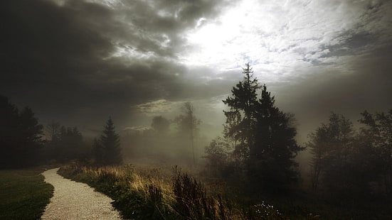 silueta de la cubierta del árbol por la niebla bajo el cielo nublado durante el día, naturaleza, paisaje, camino, bosque, niebla, arbustos, nubes, oscuridad, luz del día, árboles, carretera, cielo, Fondo de pantalla HD HD wallpaper