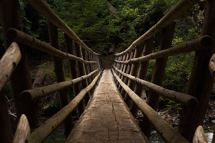 puente de madera marrón, puente, descenso, árboles, Fondo de pantalla HD