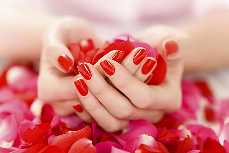 червени и розови розови листенца, ръце, венчелистчета, нежно, маникюр, червен лак за нокти, HD тапет HD wallpaper