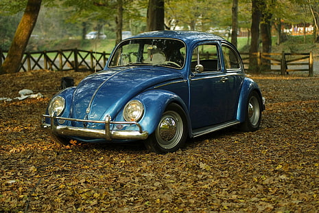 höst, bil, klassisk, löv, oldtimer, park, vintage, volkswagen, volkswagen beetle, vw, HD tapet HD wallpaper