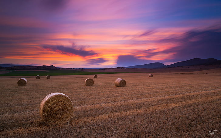 brown grass field under orange sky during twilight, Harvest time, brown, grass, field, orange sky, twilight, country, euskadi, alava, sun, bales, llanada, spain, landscape, long  exposure, larga, exposicion, color, colores, colorful, light, highlights, End  time, nature, agriculture, bale, rural Scene, farm, summer, sky, outdoors, hay, sunset, meadow, landscaped, yellow, scenics, sunlight, gold Colored, HD wallpaper