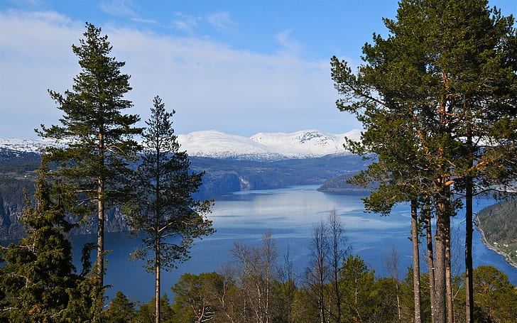 Норвегия фьорд, горы, деревья, голубое небо, Норвегия, фьорд, горы, деревья, синий, небо, HD обои