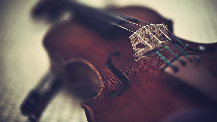 brown violin, music, violin, musical instrument, HD wallpaper