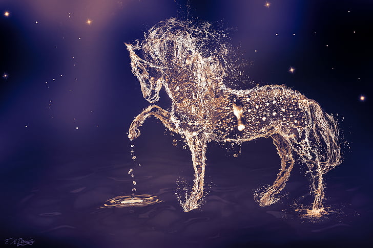 Water Horse, Drops, 4K, HD wallpaper